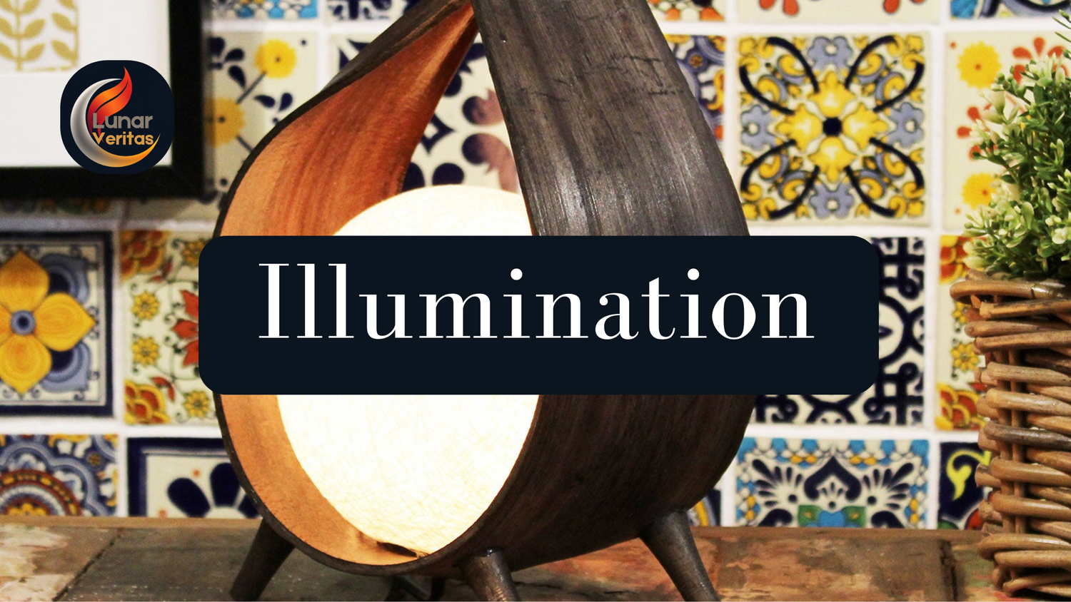 Illumination Collection