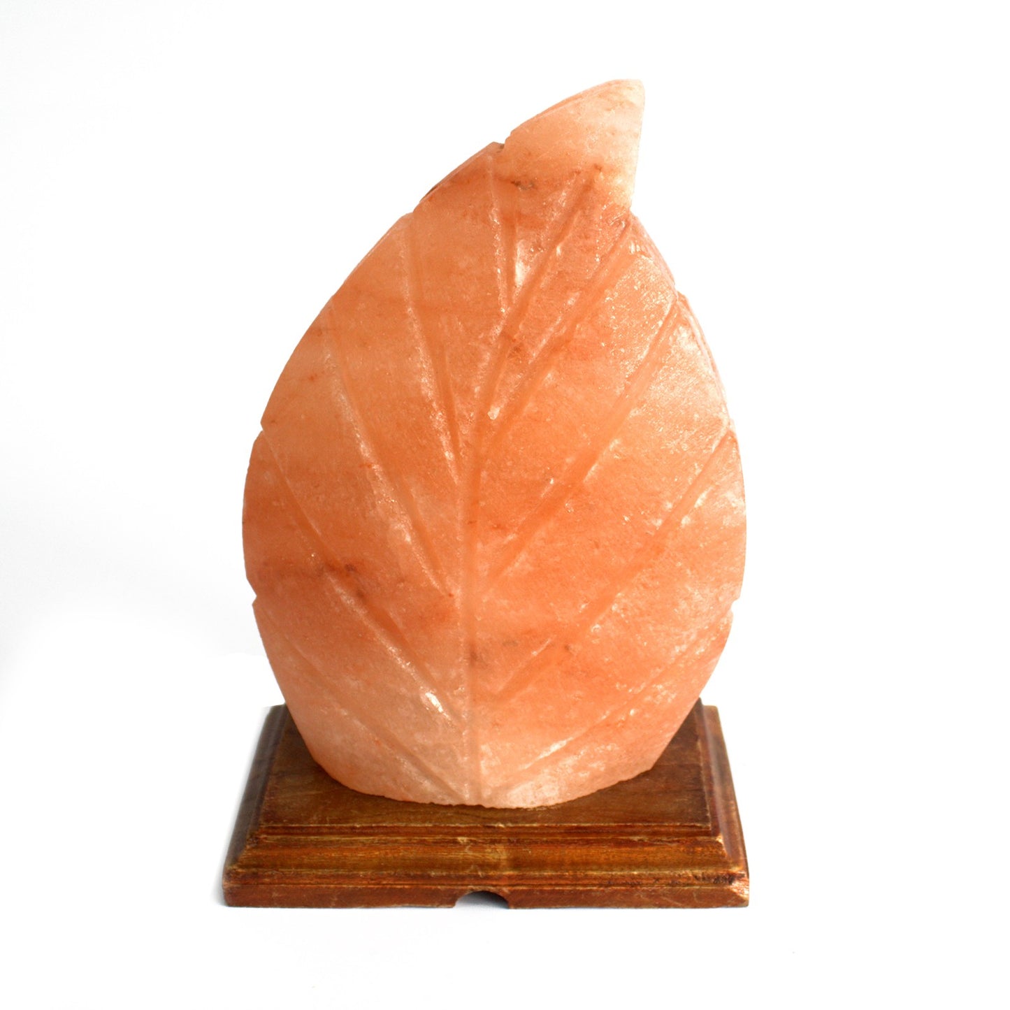 --Shape Salt Lamp - Fern-