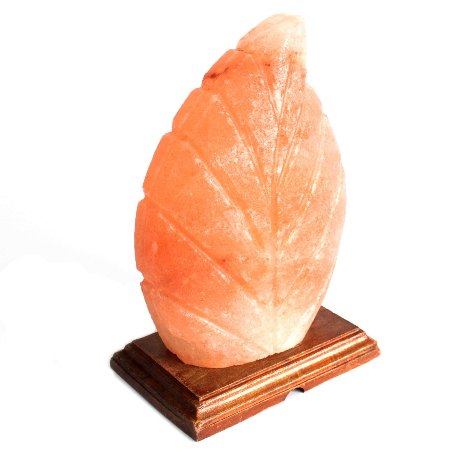 -1-Shape Salt Lamp - Fern-1