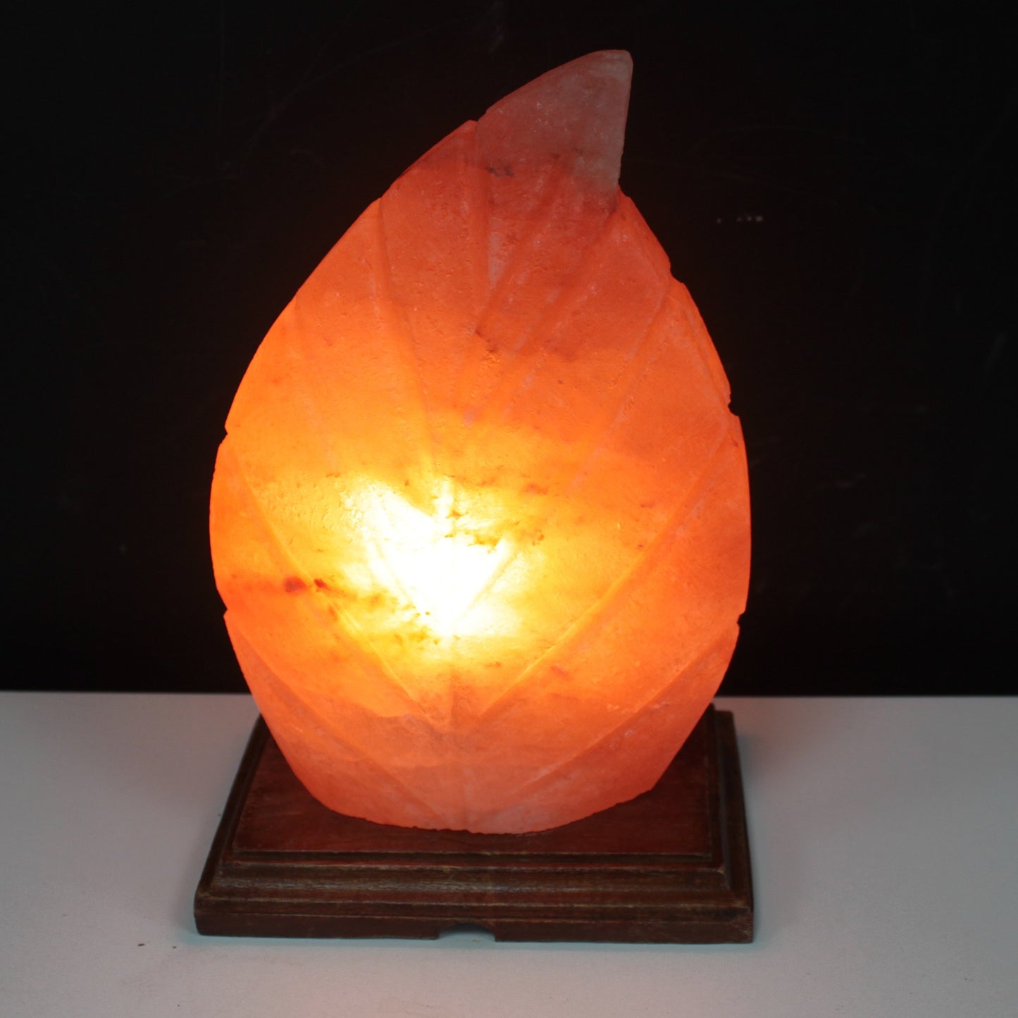 -2-Shape Salt Lamp - Fern-2