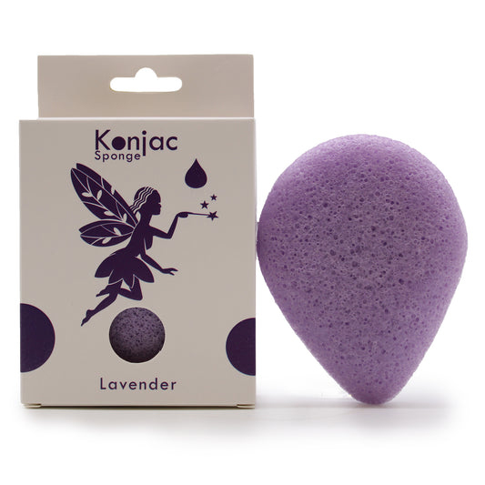 --Teardrop Konjac Sponge - Lavender - Calming-