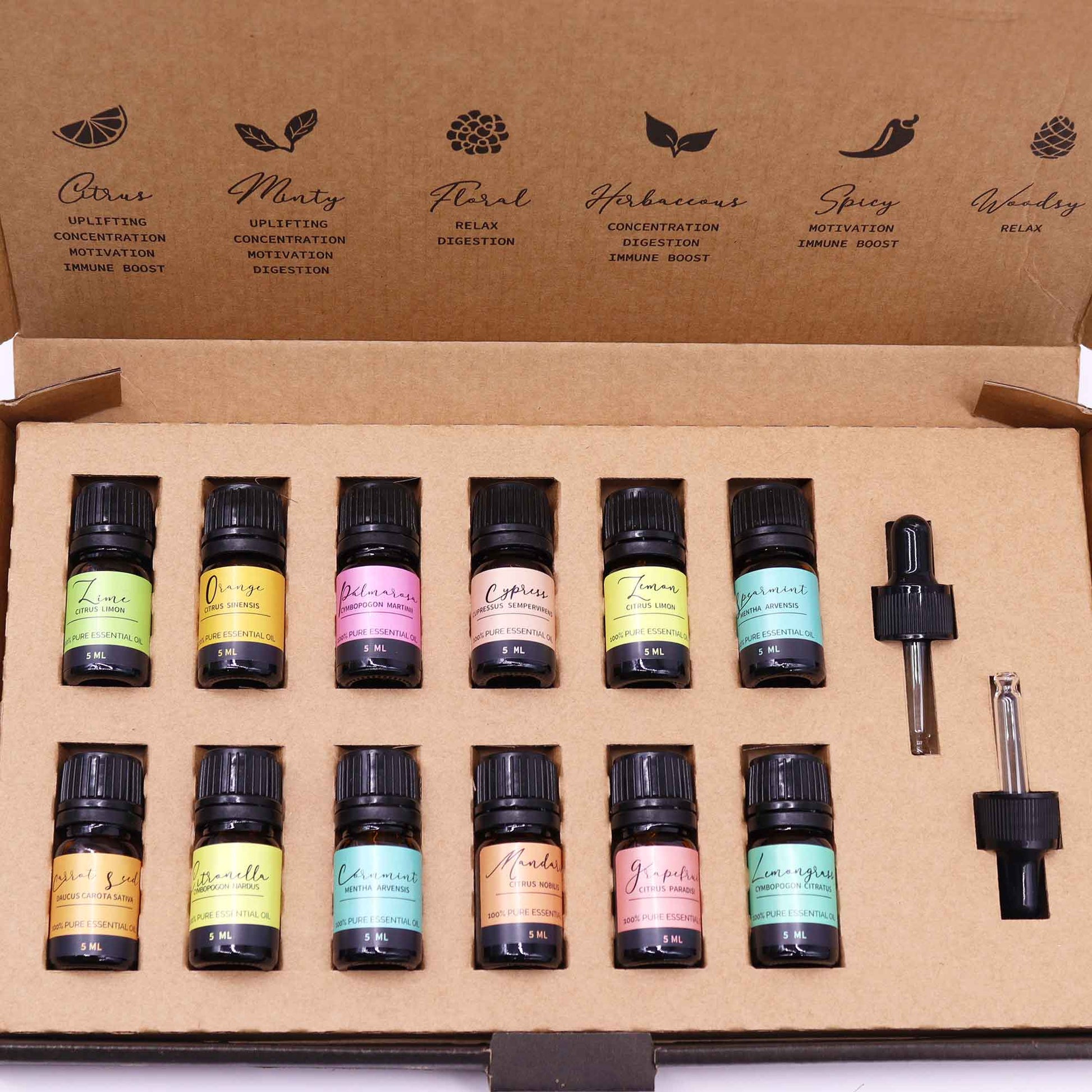 -1-Aromatherapy Essential Oil Set - Summer-1